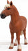 Belgian Draft Horse