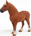 Belgian Draft Horse
