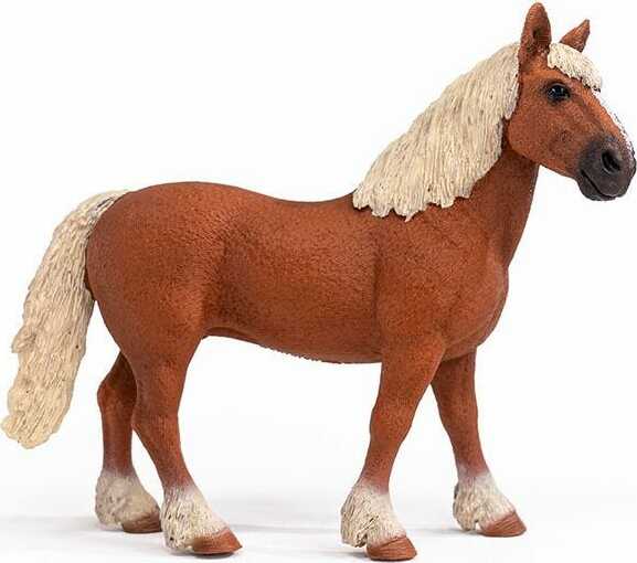 Belgian Draft Horse