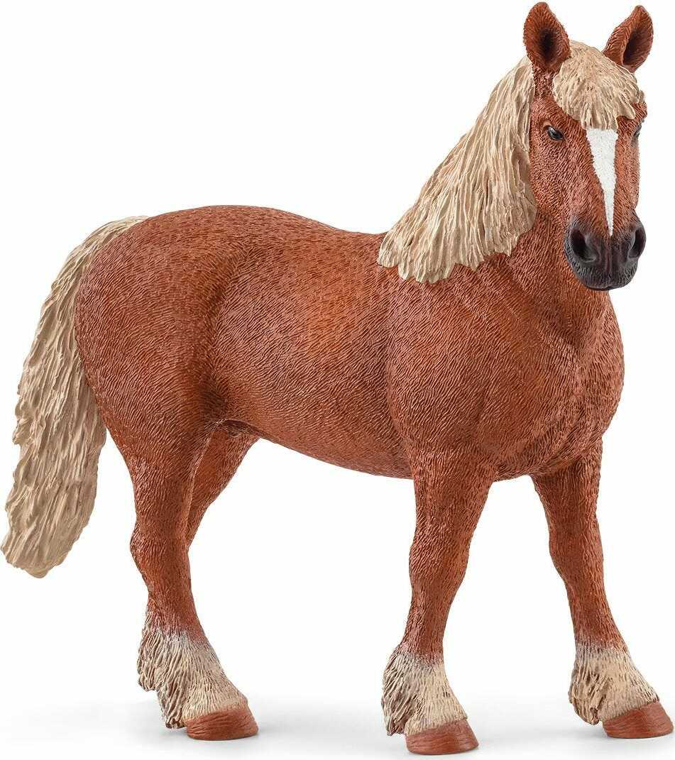 Belgian Draft Horse