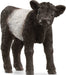 FARM WORLD Galloway Calf