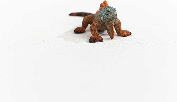 Iguana Animal Toy