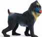 Mandrill