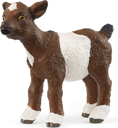 Goat Kid