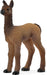 Llama Foal