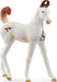 schleich HORSE CLUB Marwari Foal