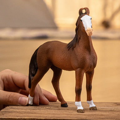 schleich HORSE CLUB Marwari Mare