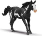 Paint Horse Gelding