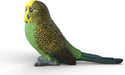 Budgie