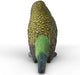 Budgie