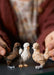 Chicken Friends