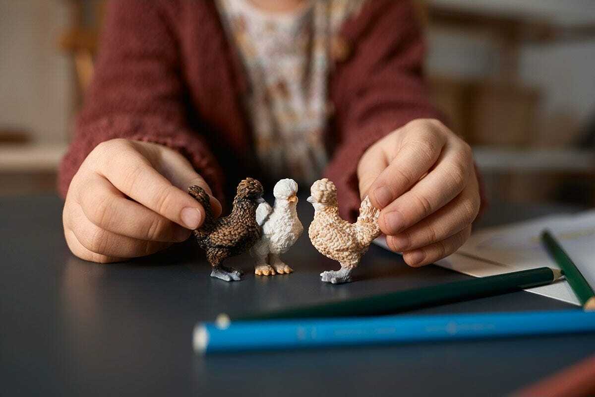 Chicken Friends