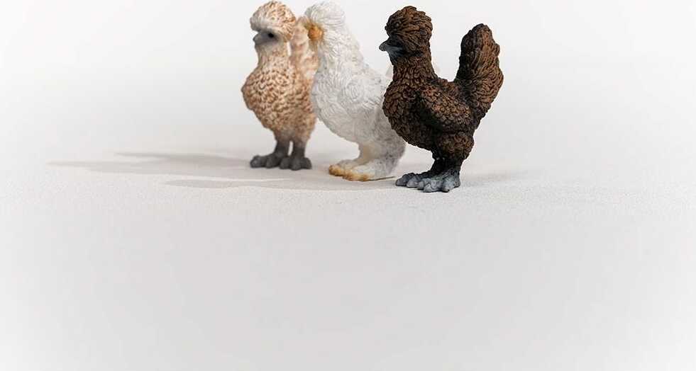 Chicken Friends