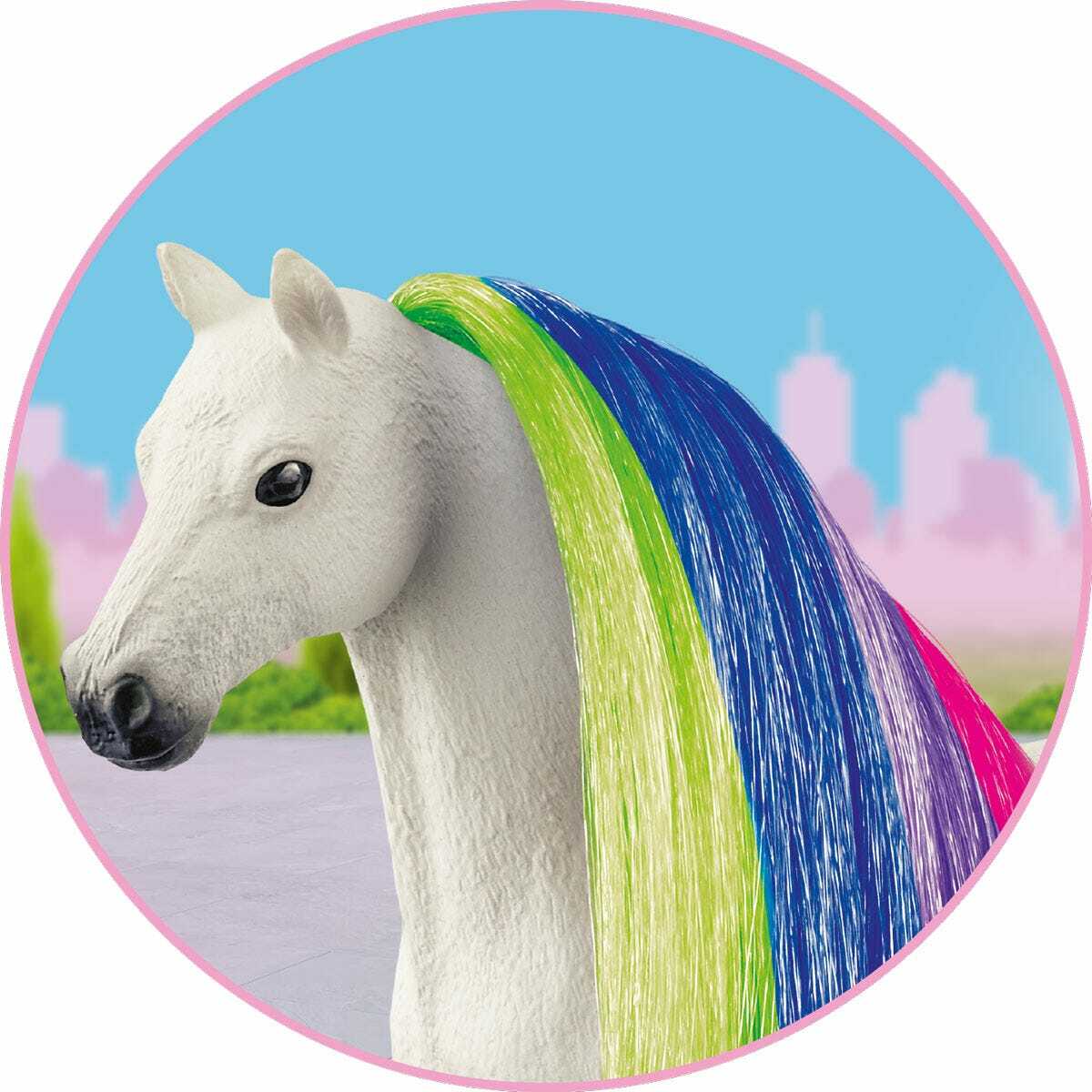 Hair Beauty Horses Rainbow