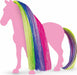 Hair Beauty Horses Rainbow