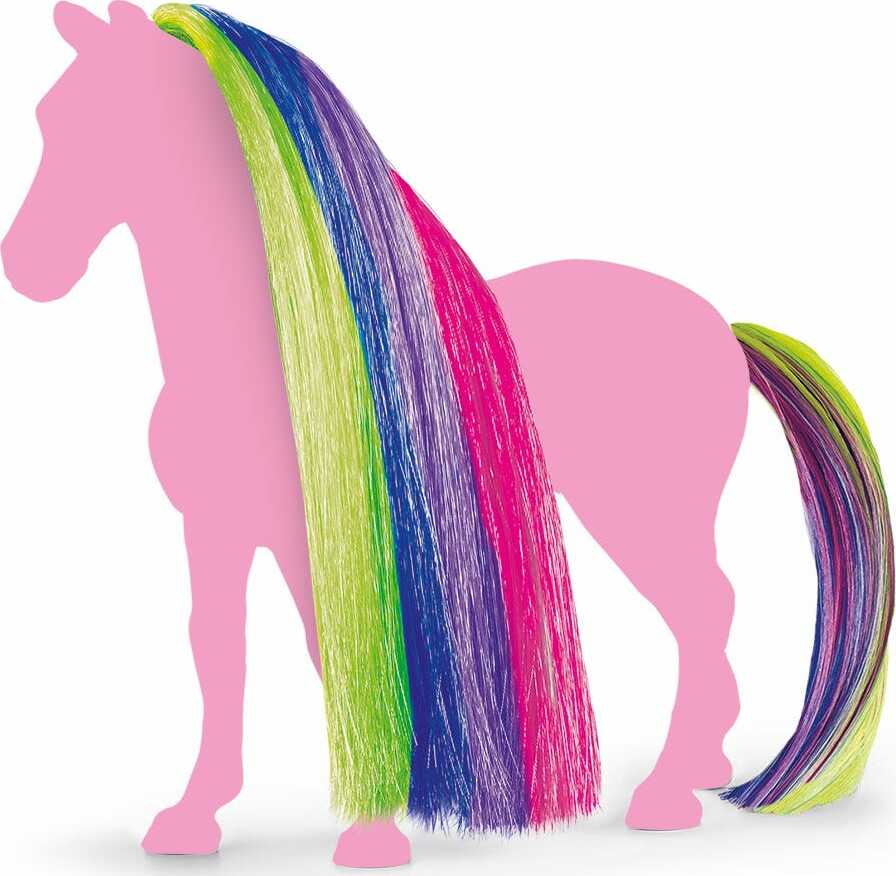 Hair Beauty Horses Rainbow