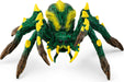 Cave of the Jungle Tarantula
