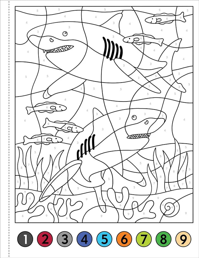 Color-By-Number! Under The Sea (50 Unique, One -Sided Designs)