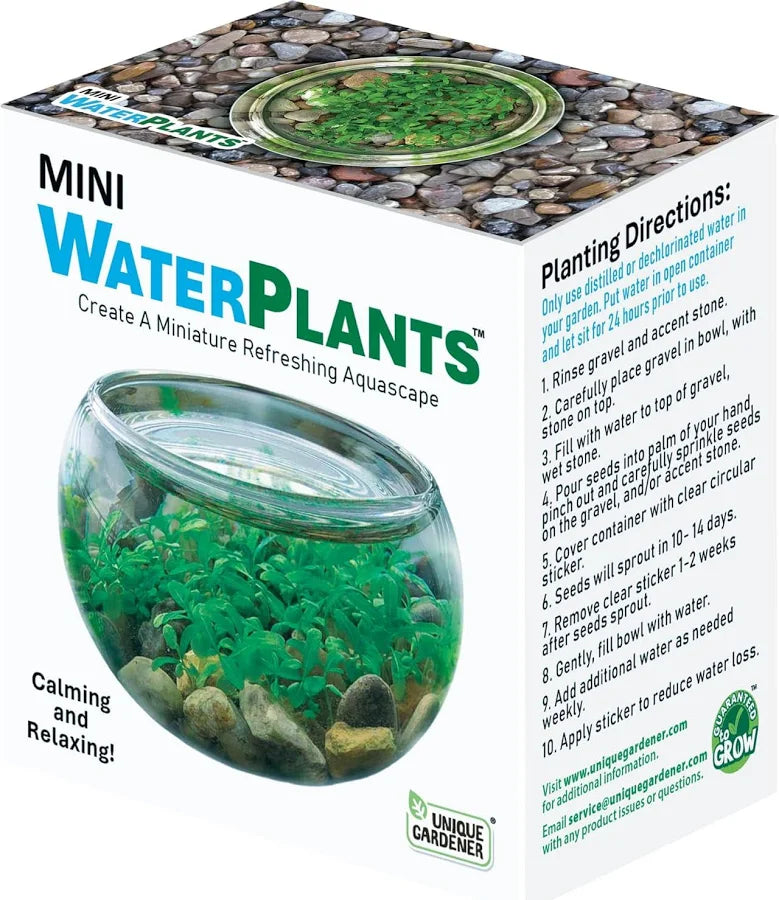 Mini Water Plant Display