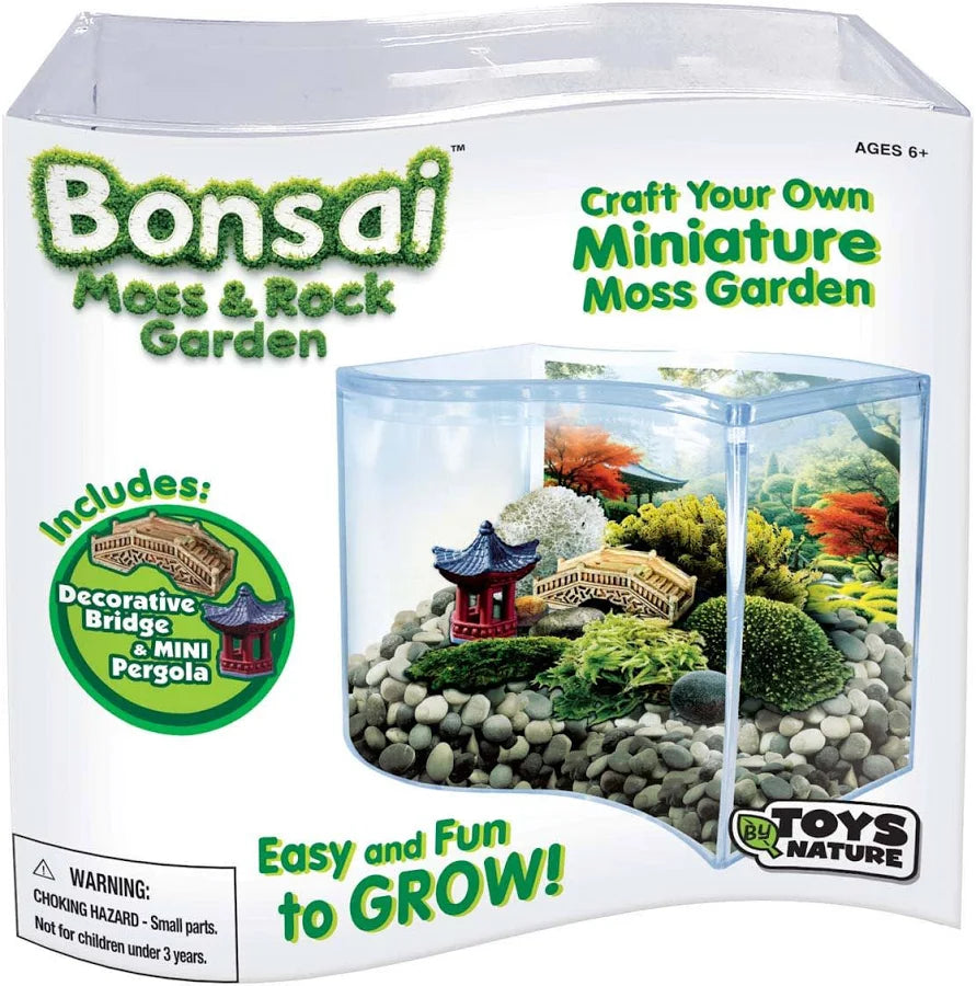 Bonsai Moss & Rock Garden Terrarium