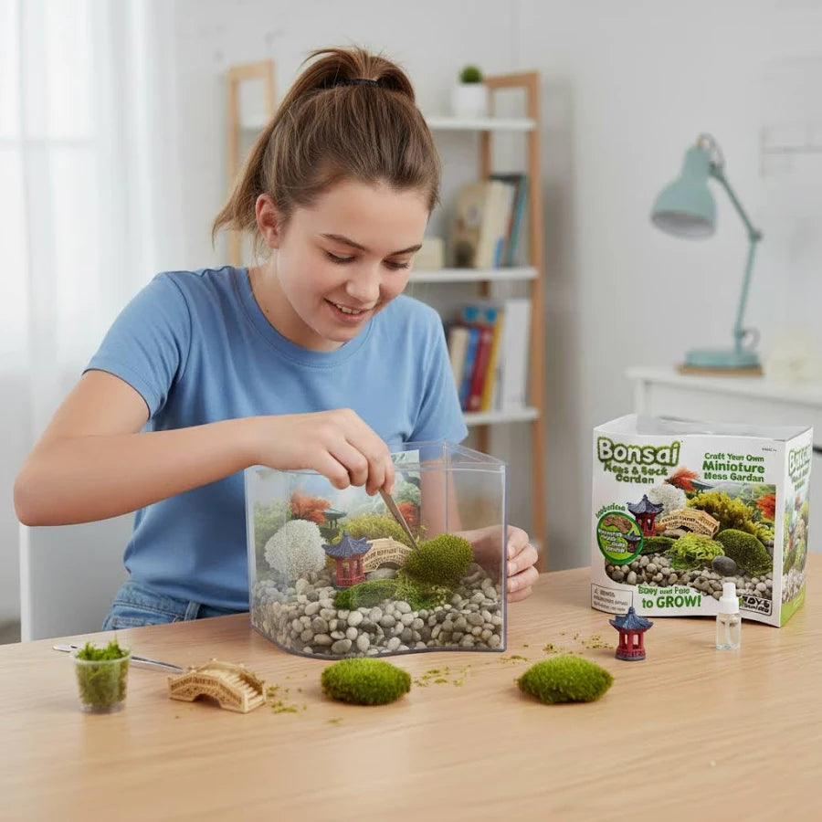 Bonsai Moss & Rock Garden Terrarium