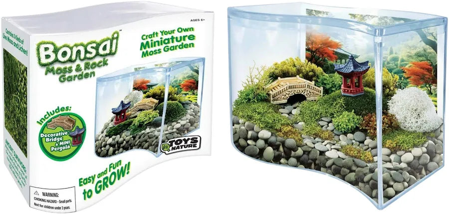 Bonsai Moss & Rock Garden Terrarium