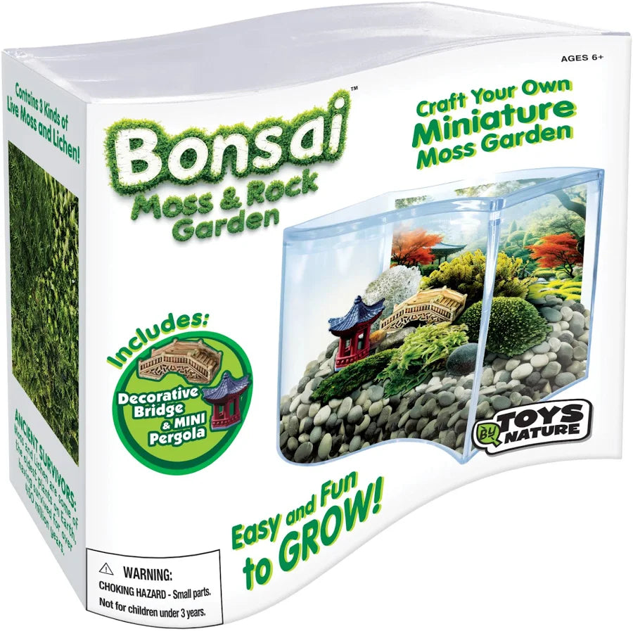 Bonsai Moss & Rock Garden Terrarium