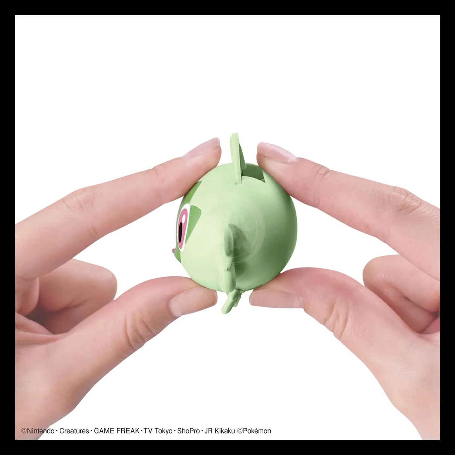 Sprigatito Pokémon Model Kit