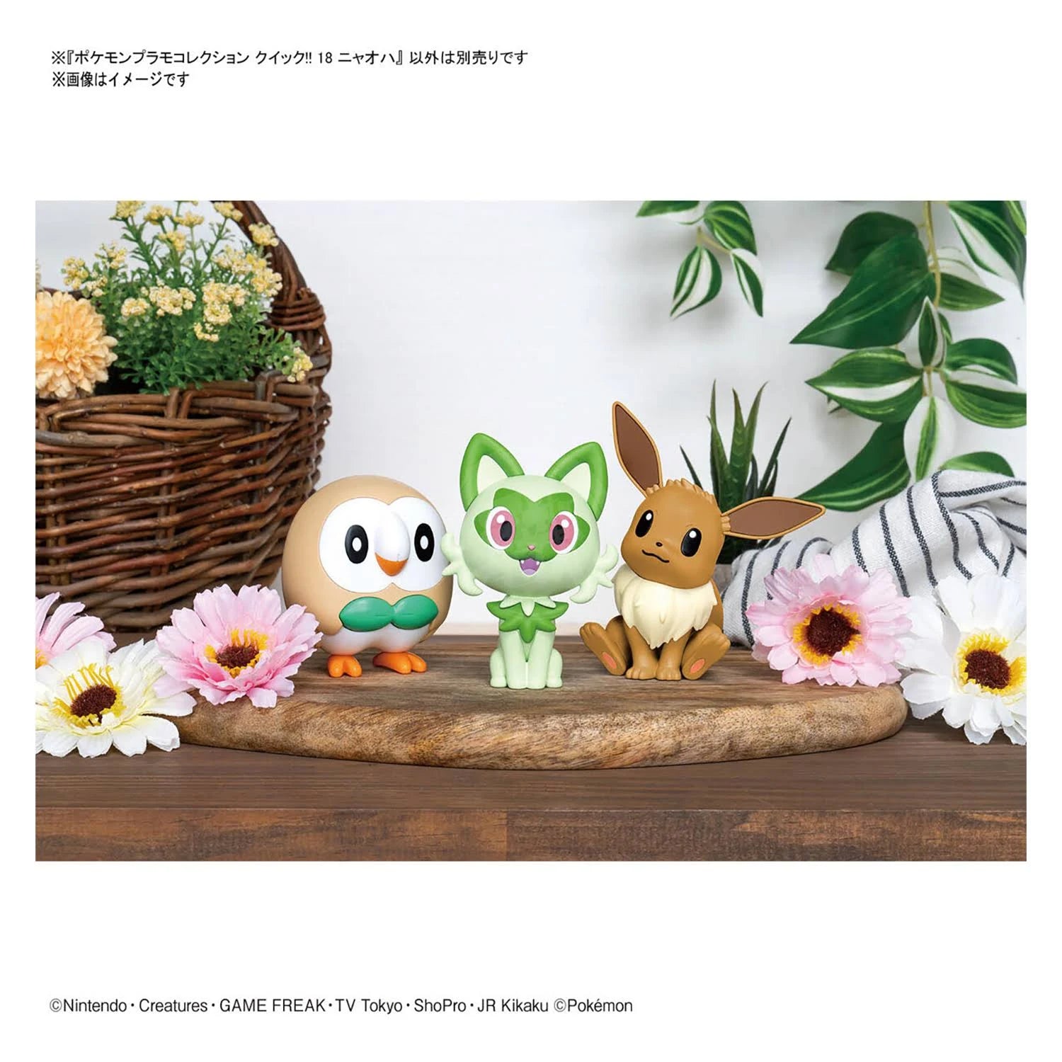 Sprigatito Pokémon Model Kit