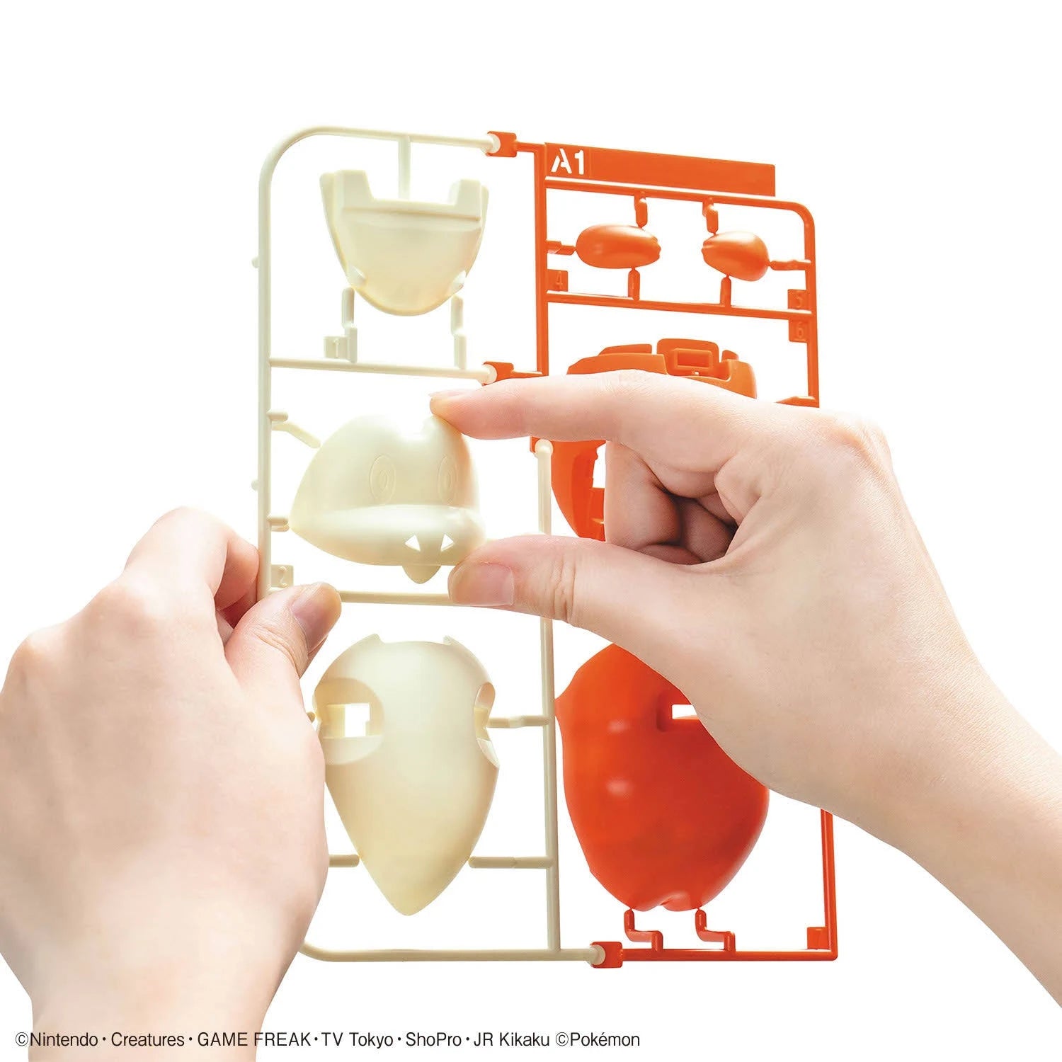Fuecoco Pokémon Model Kit