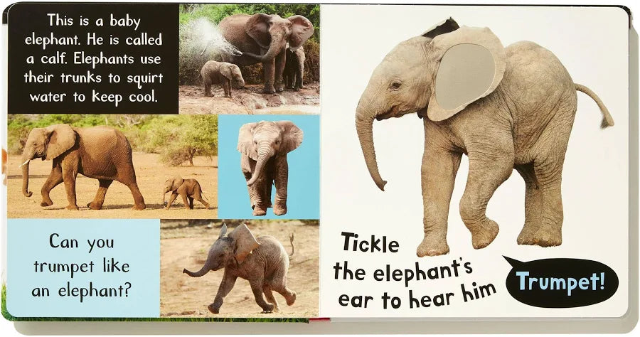 Noisy Baby Animals Sound Book with 6 Animal Sounds
