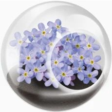 Tiny Terrarium Flowers