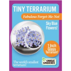 Tiny Terrarium Flowers
