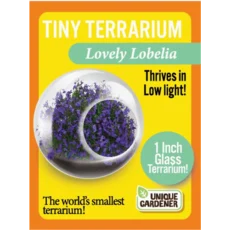 Tiny Terrarium Flowers