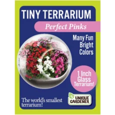 Tiny Terrarium Flowers