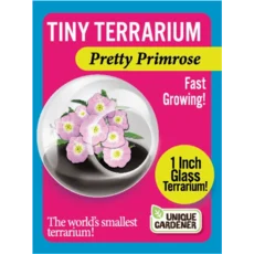 Tiny Terrarium Flowers