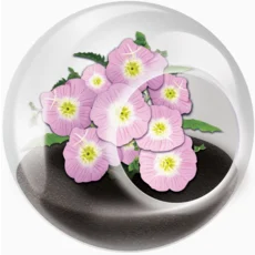 Tiny Terrarium Flowers