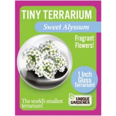 Tiny Terrarium Flowers