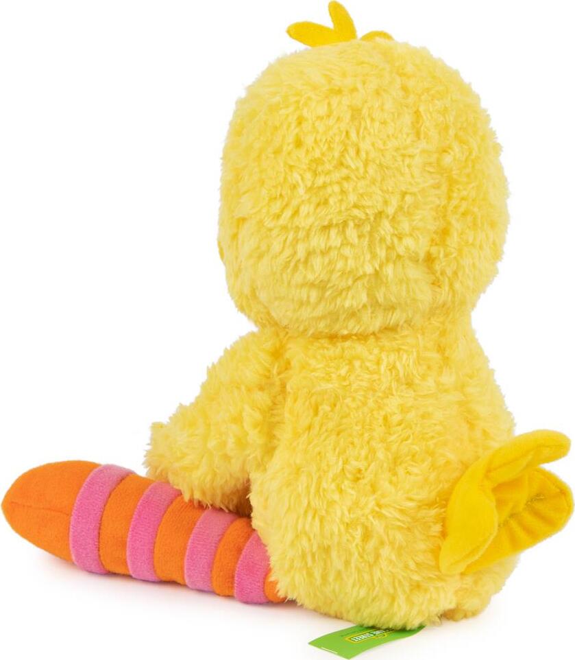 Big Bird Take Along Buddy, 13-Inch