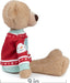 Sleigh Toothpick Bear with Holiday Sweater - 15 in