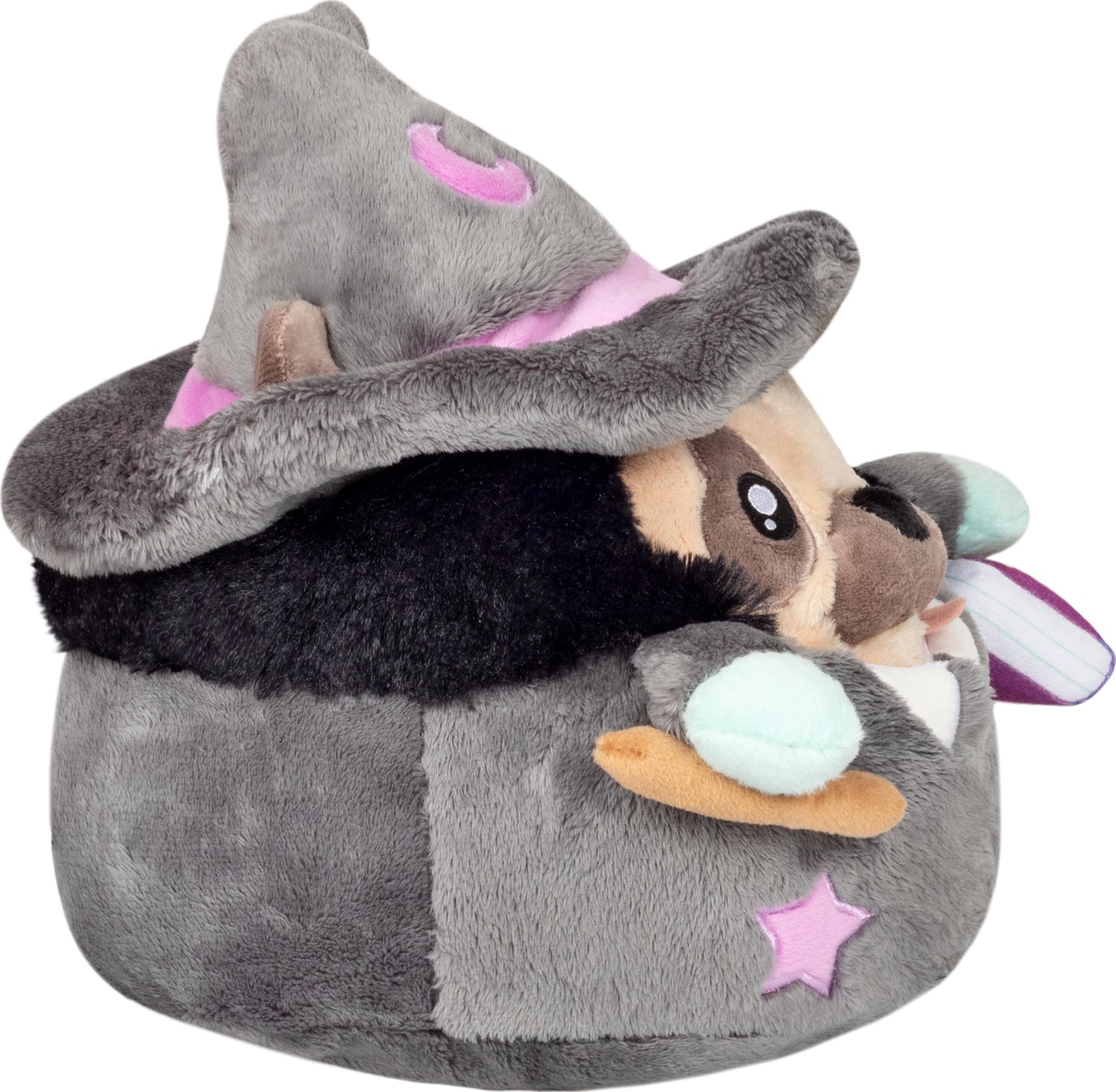 Undercover Pug in Witch