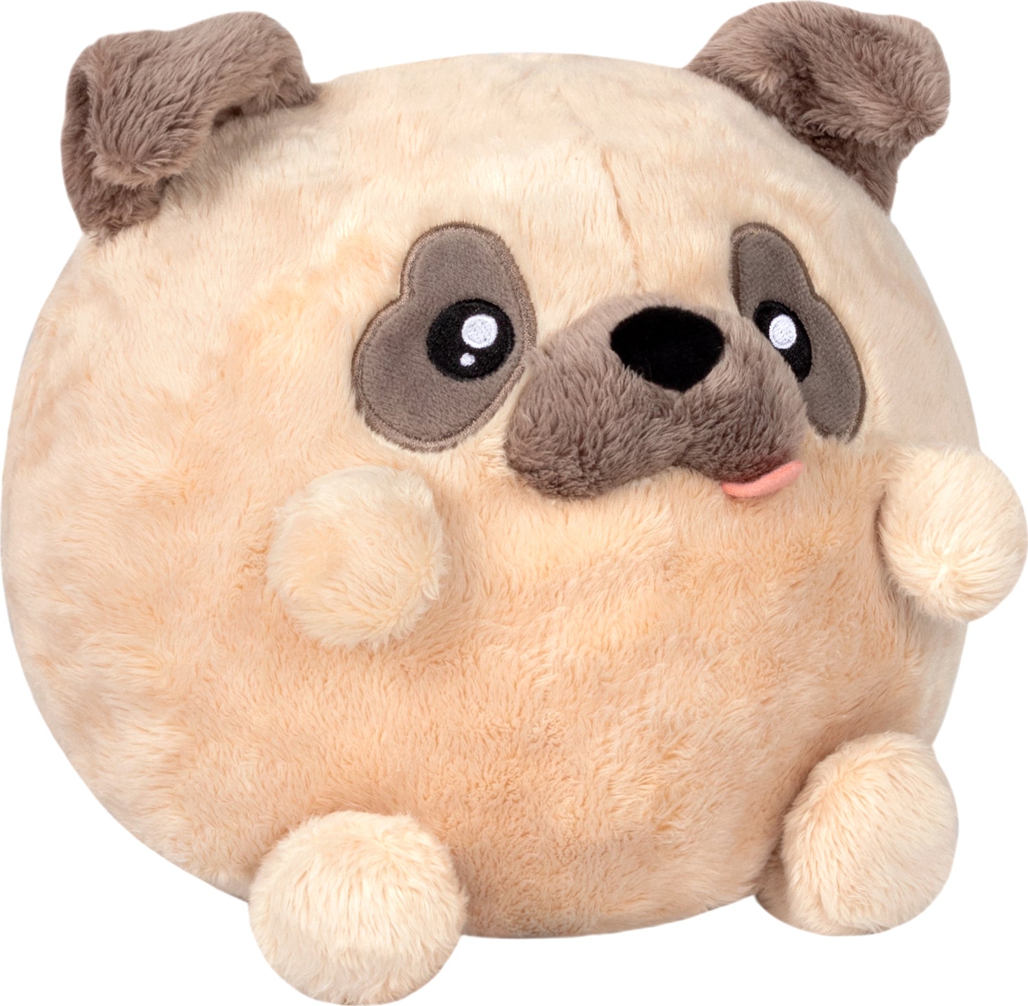 Undercover Pug in Witch