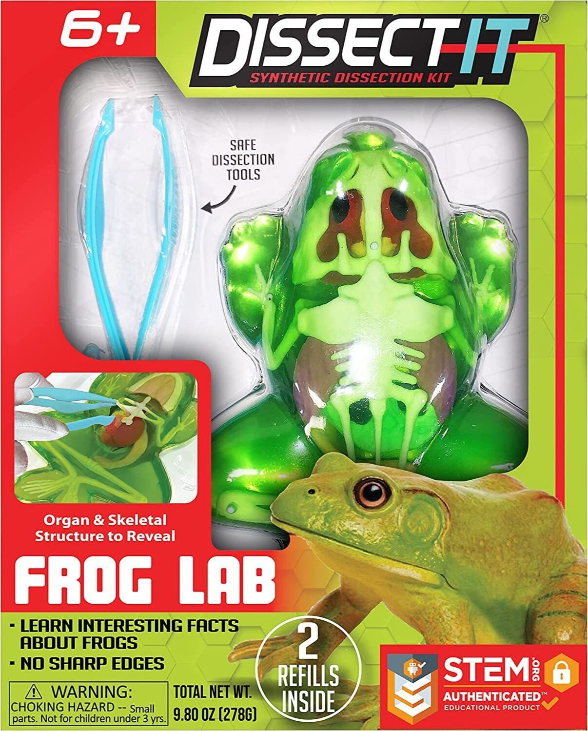 Dissect It- Frog Lab