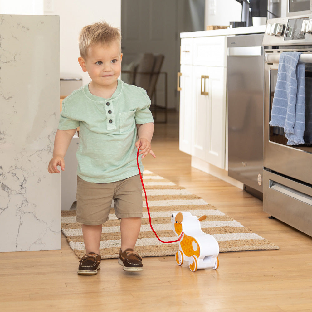 Feed, Walk & Poo Pup Play Set