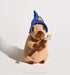 Wizard Capybara
