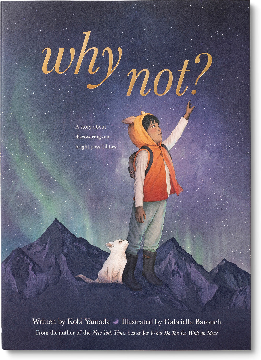 Why Not? Hardcover Book