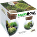 Moss Bowl - Grow Your Own Oasis