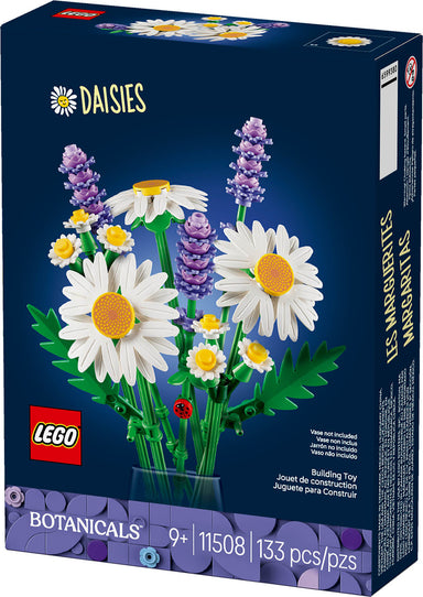 BOTANICALS Daisies