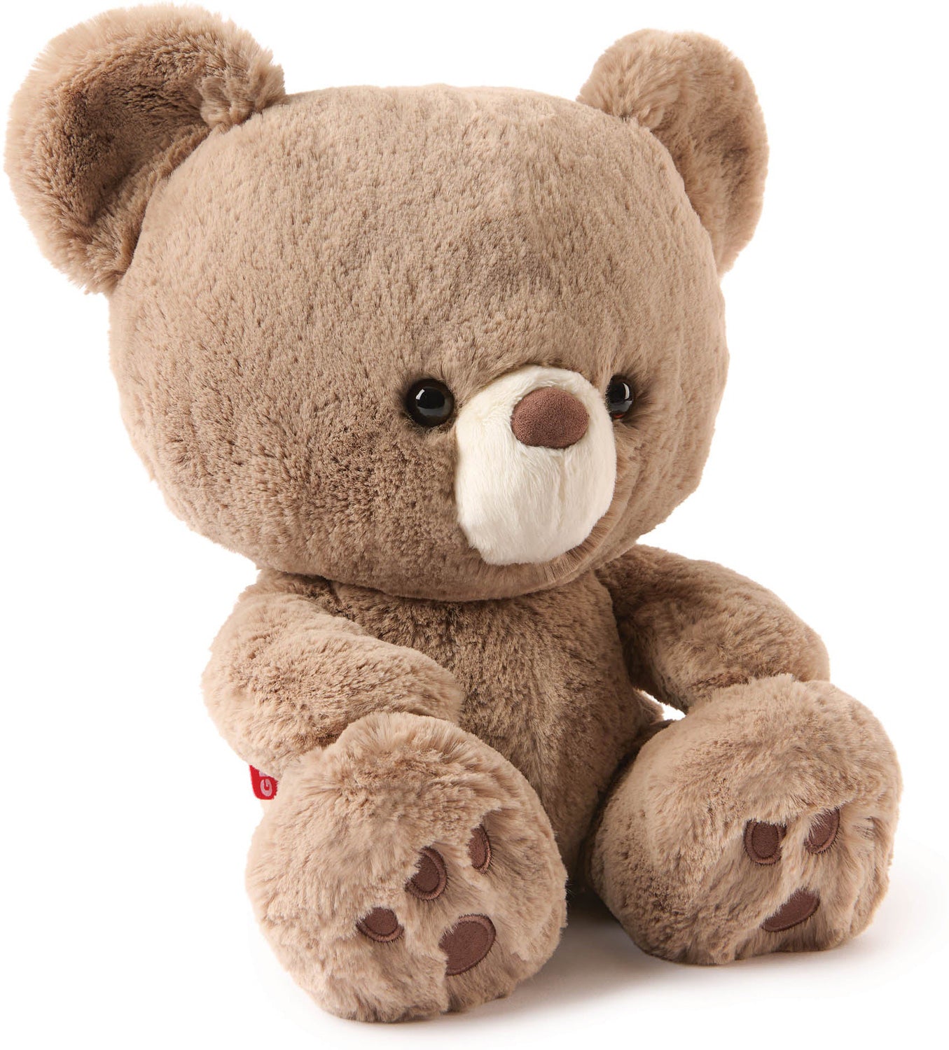 GUND Forever Friends Promise: Kai Bear