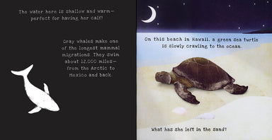 Animal Journeys A Shine-A-Light Book